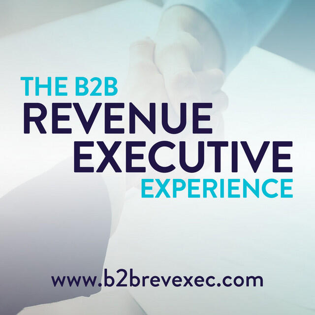 B2B Revenue Executive